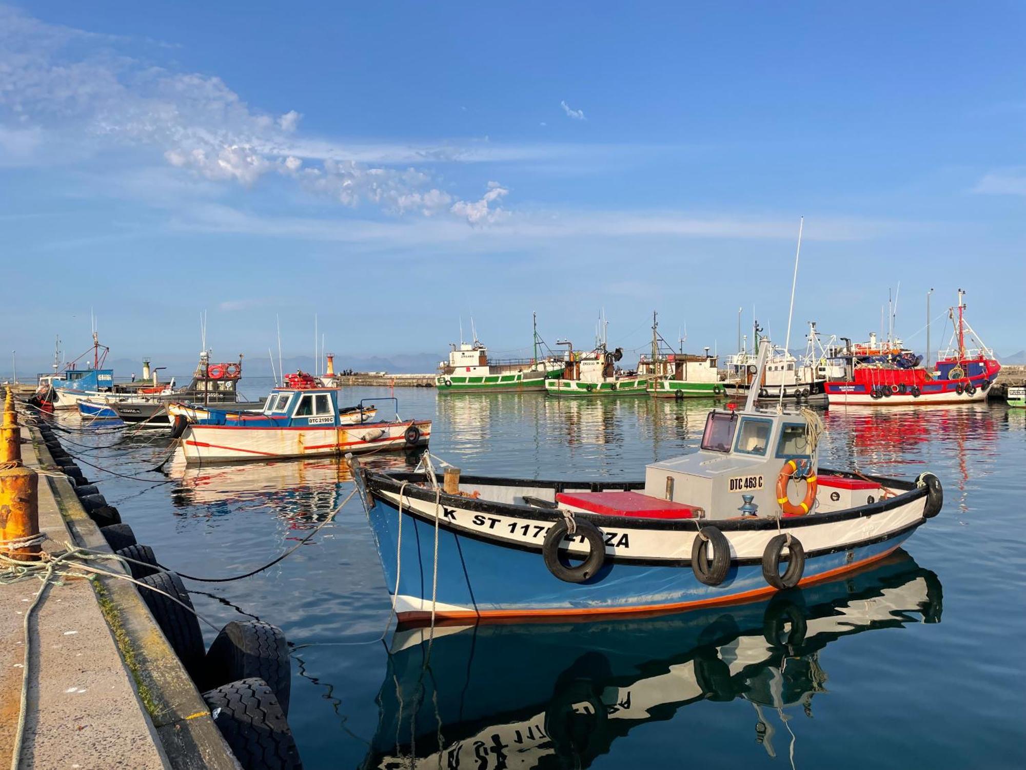 Whalehaven Lejlighed Kalk Bay Eksteriør billede